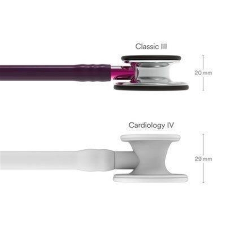 Cliquez pour agrandir