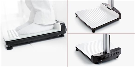 Cliquez pour agrandir