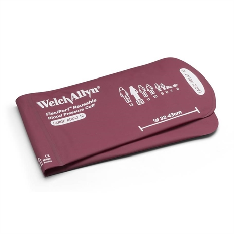 Cliquez pour agrandir