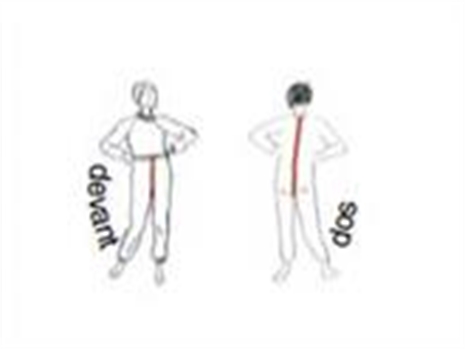 Cliquez pour agrandir