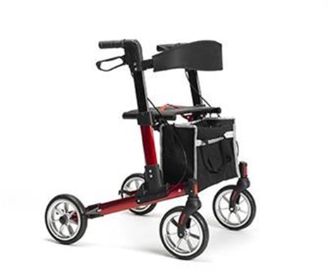 Cliquez pour agrandir