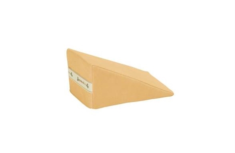 Cliquez pour agrandir