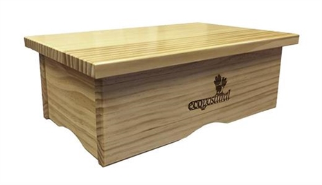 Cliquez pour agrandir