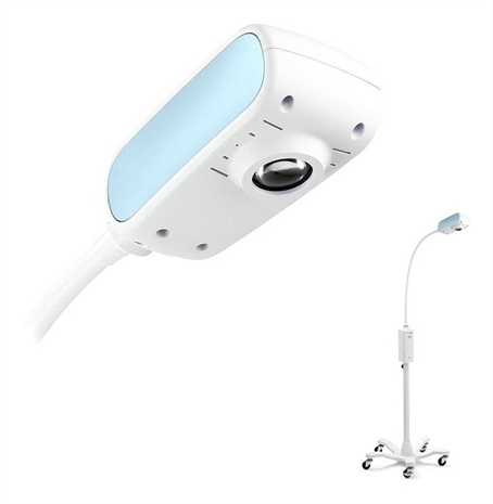 Cliquez pour agrandir