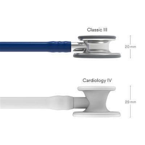 Cliquez pour agrandir