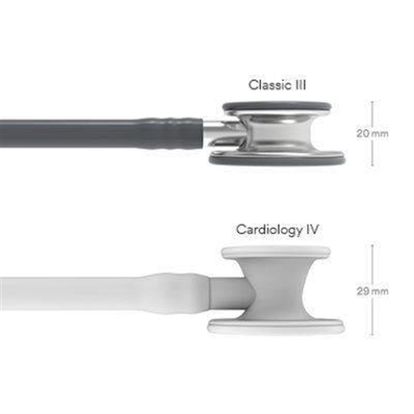 Cliquez pour agrandir