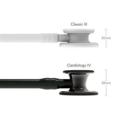 Cliquez pour agrandir