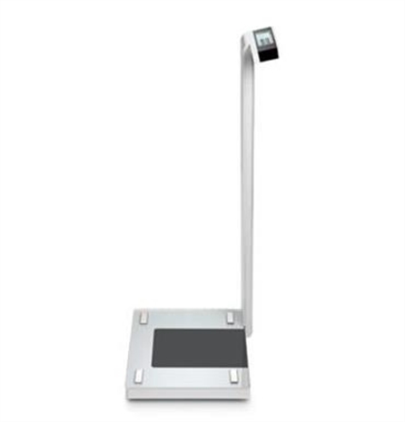 Cliquez pour agrandir