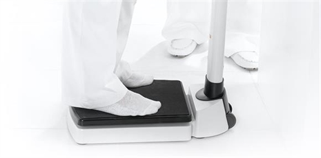 Cliquez pour agrandir