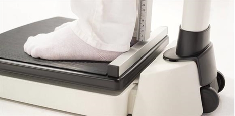 Cliquez pour agrandir