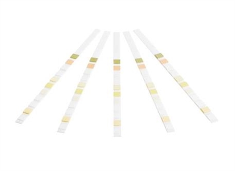 Cliquez pour agrandir