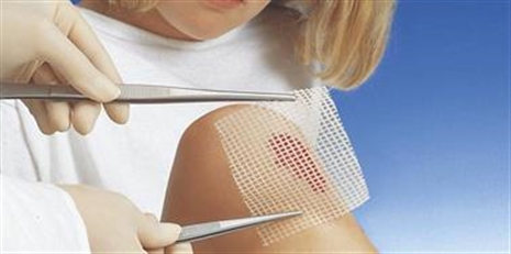 Cliquez pour agrandir