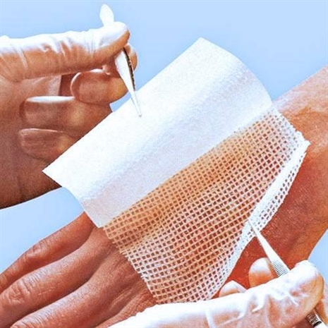 Cliquez pour agrandir