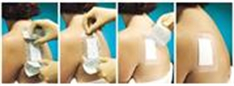 Cliquez pour agrandir