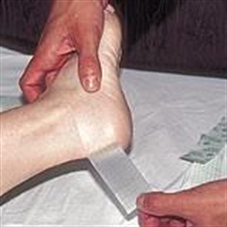 Cliquez pour agrandir