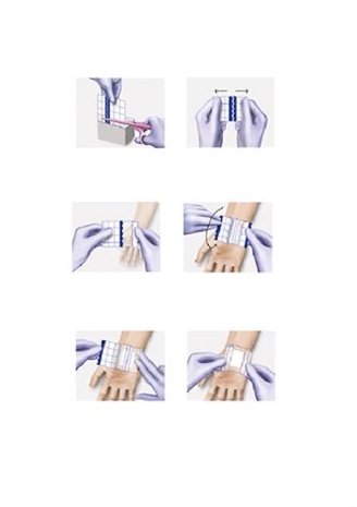 Cliquez pour agrandir