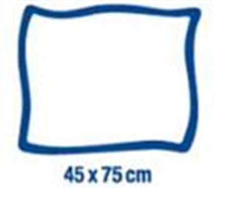 Cliquez pour agrandir