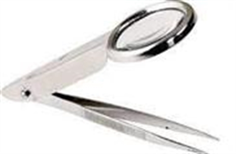 Cliquez pour agrandir