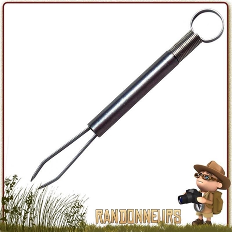 Cliquez pour agrandir