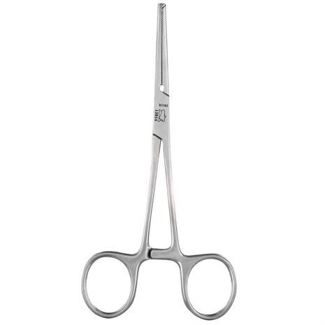 Cliquez pour agrandir