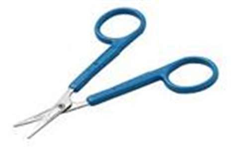 Cliquez pour agrandir