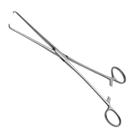 Cliquez pour agrandir