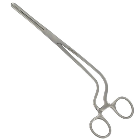 Cliquez pour agrandir