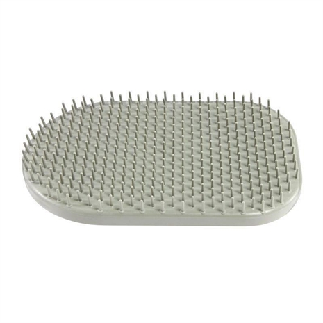 Cliquez pour agrandir