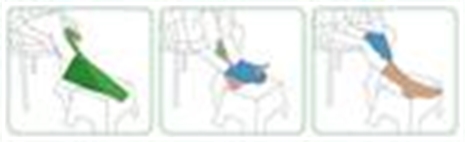 Cliquez pour agrandir