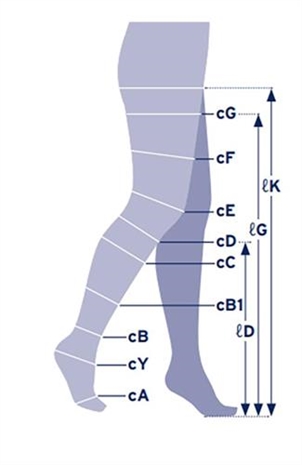 Cliquez pour agrandir