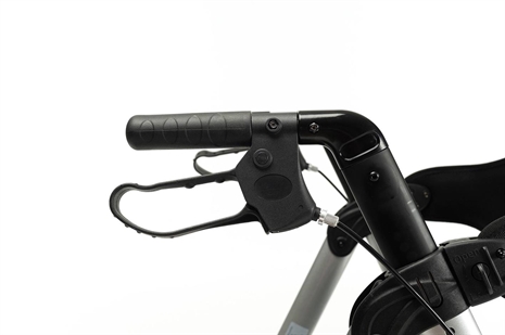 Cliquez pour agrandir