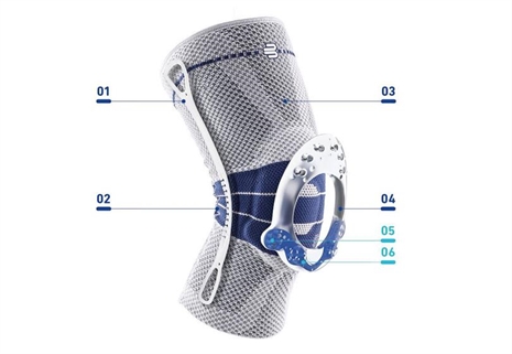 Cliquez pour agrandir