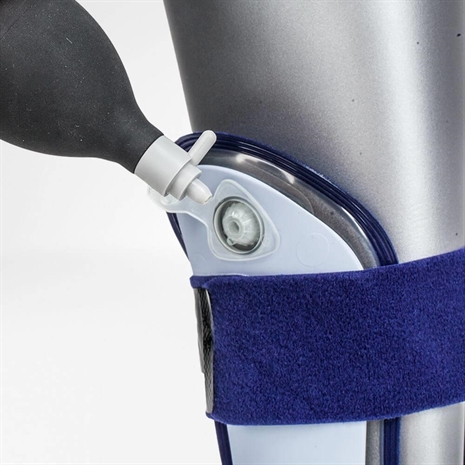 Cliquez pour agrandir