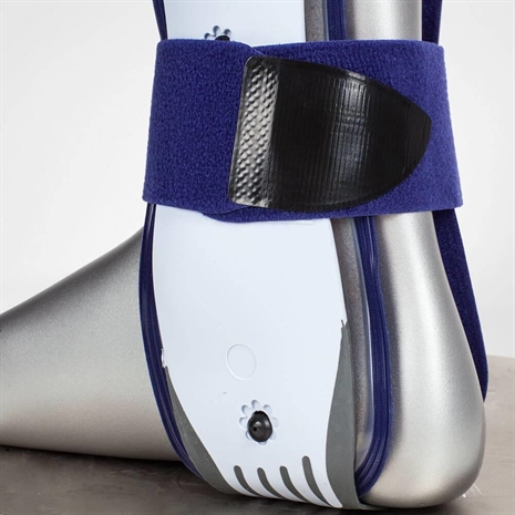 Cliquez pour agrandir