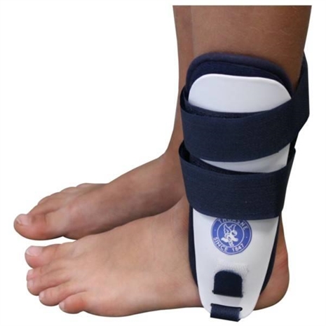 Cliquez pour agrandir