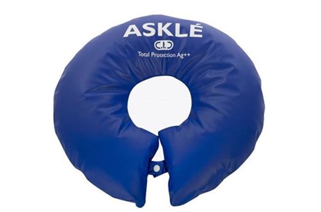 Cliquez pour agrandir