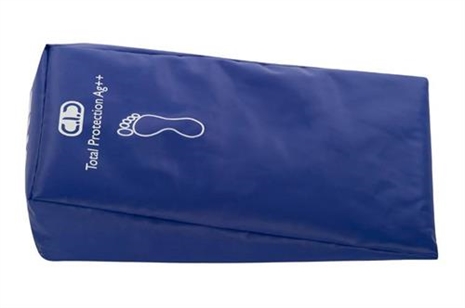 Cliquez pour agrandir