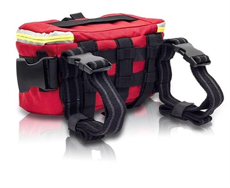 Cliquez pour agrandir