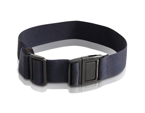 Cliquez pour agrandir