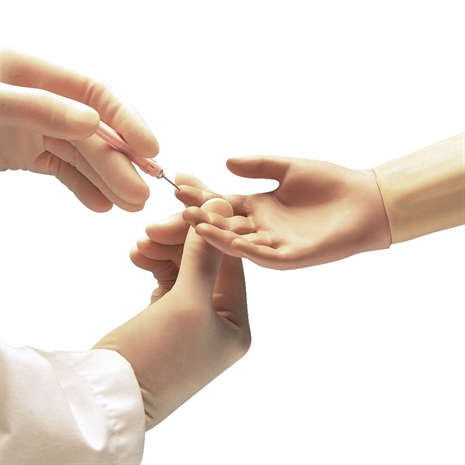 Cliquez pour agrandir