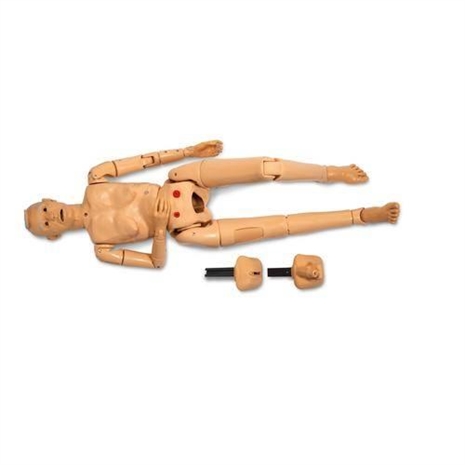 Cliquez pour agrandir