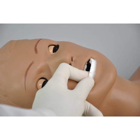 Cliquez pour agrandir