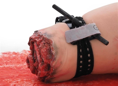 Cliquez pour agrandir